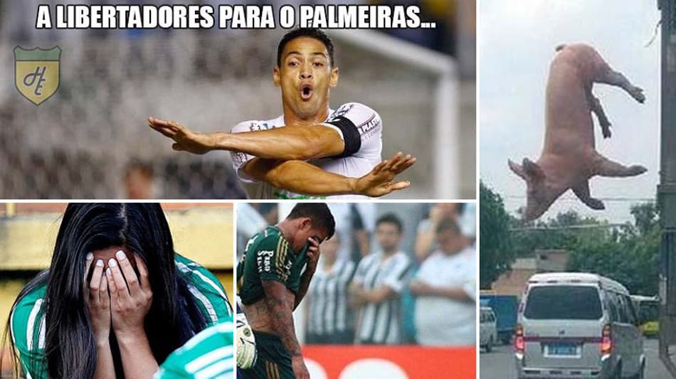 Palmeiras vira piada após queda na Libertadores. Veja os memes!