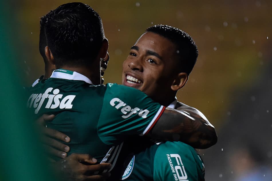 Bulla na Rede: Gabriel Jesus vira artilheiro do elenco do Palmeiras
