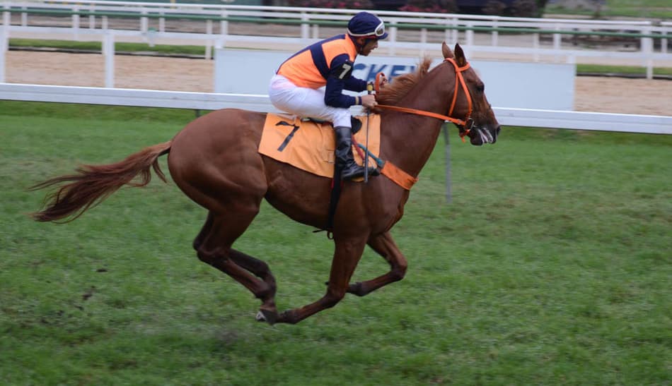 Um profissional, duas funções e muita emoção