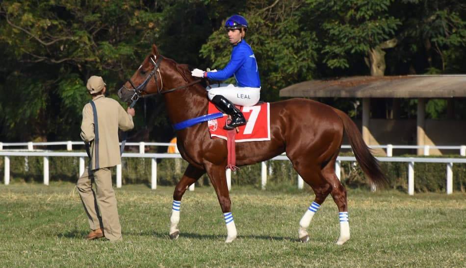 Perbene, a barbada paulista no GP Major Suckow