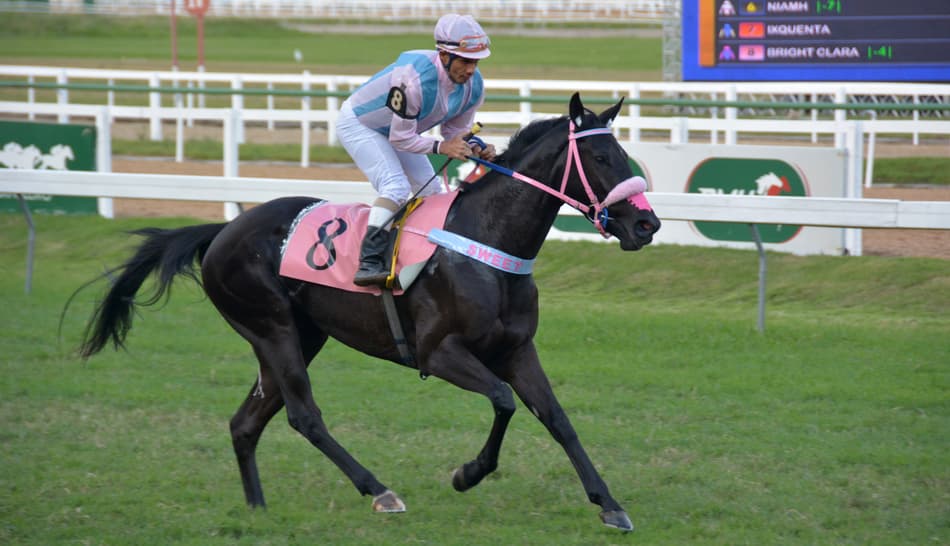 Bright Clara deve abrir o Pick 3 inicial