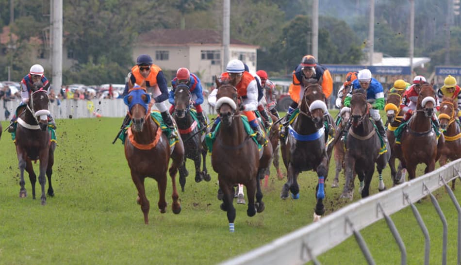 Gávea segue com ótima programação para esta semana
