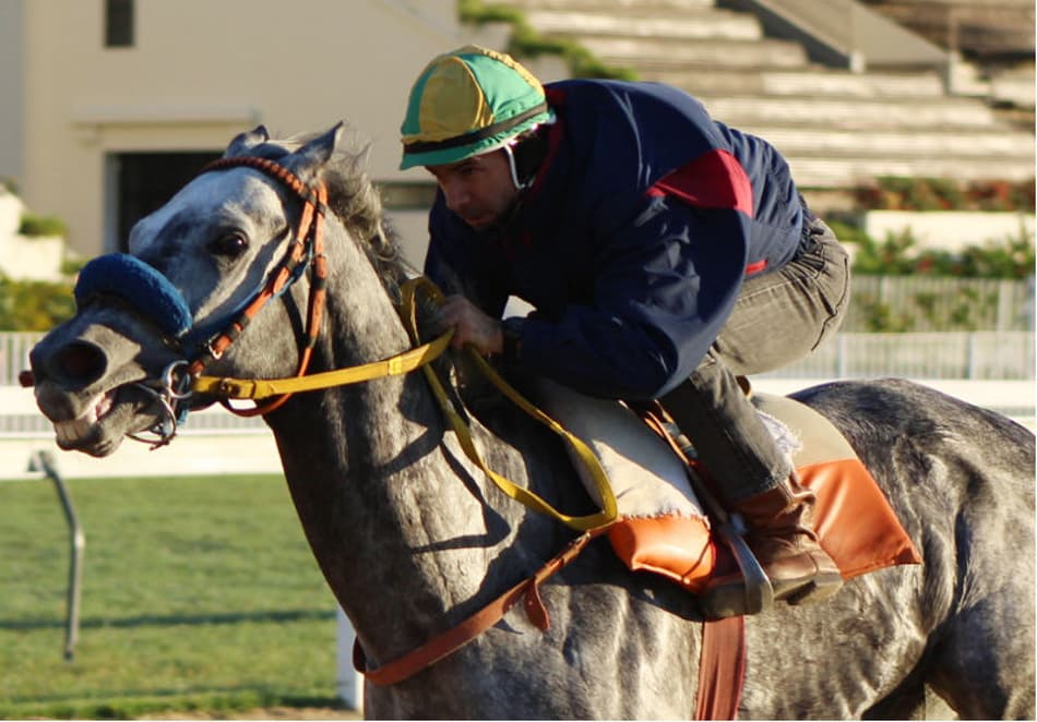 Nova geração mede forças na melhor prova de hoje na Gávea