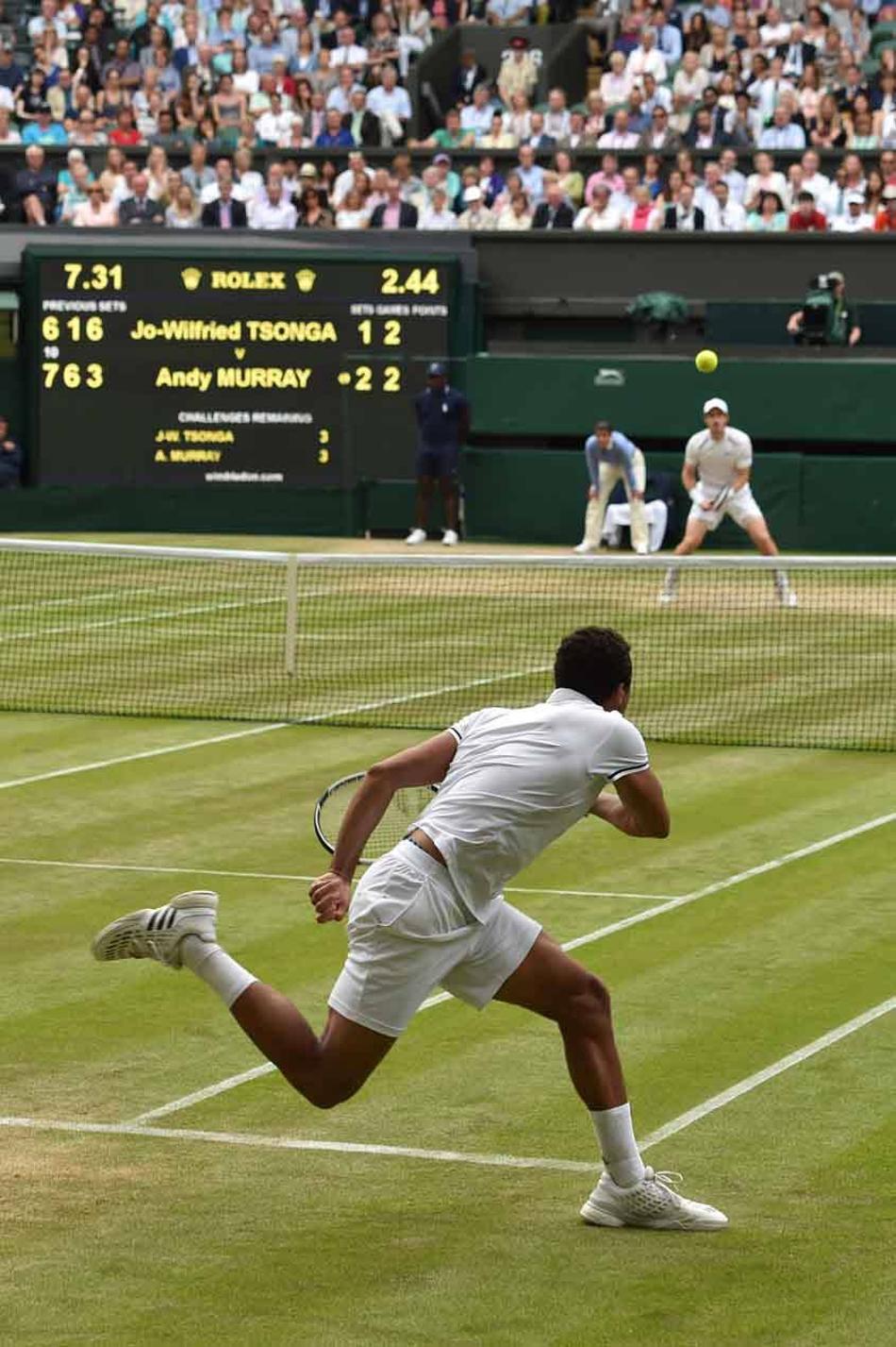 Murray x Tsonga