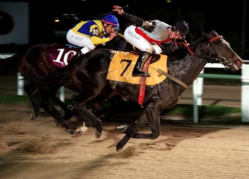 Nove provas no Hipódromo da Gávea