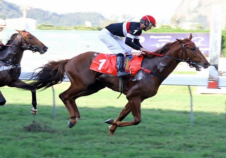 Sábado com onze páreos na Gávea