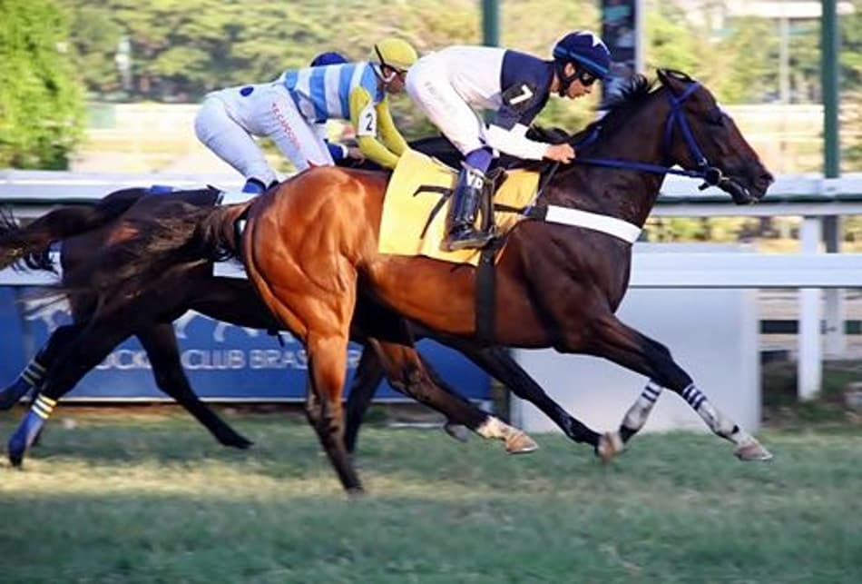 Onze carreiras agitam o Hipódromo da Gávea