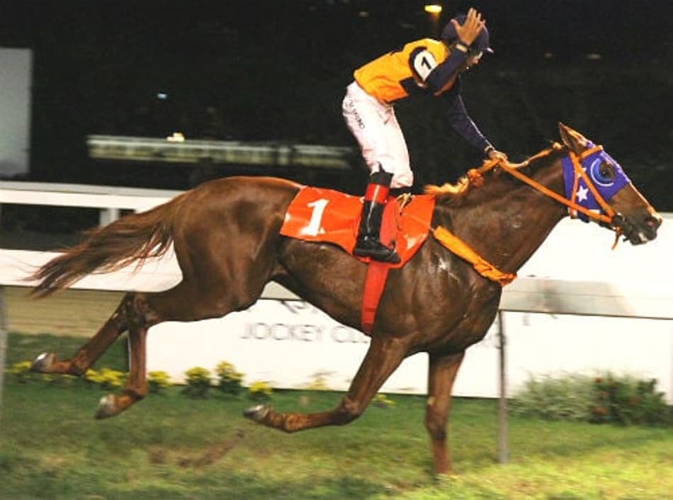 Versátil e corredor, Tototocodemalocos vence mais uma na Gávea