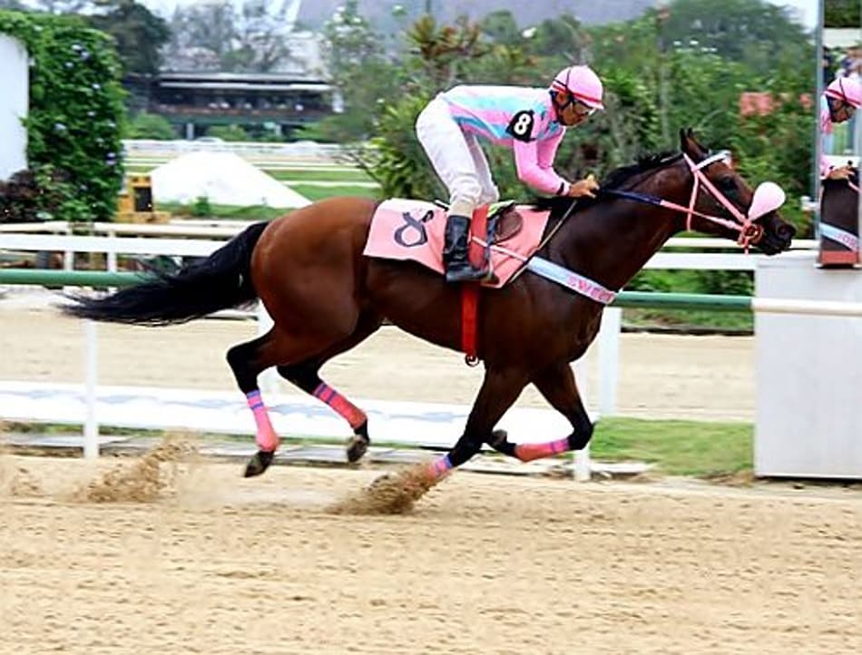 Prova Especial Groove, a atração na Gávea