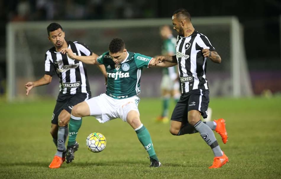 Palmeiras vira piada após derrota para o Botafogo. Veja!