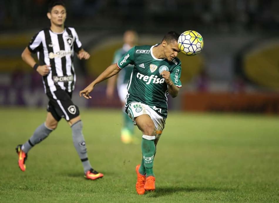 Palmeiras x Botafogo: prováveis times, onde ver, desfalques e palpites