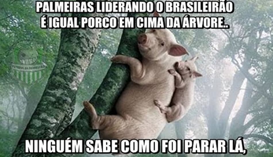 Humor: Palmeiras sofre com as gozações após derrota para o Botafogo