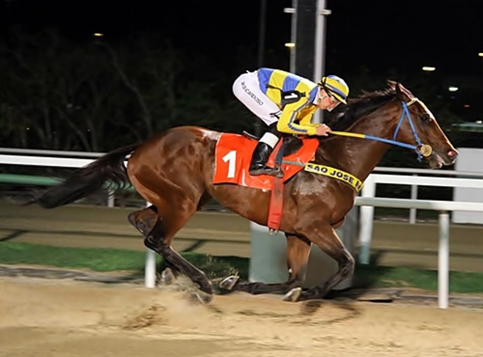 Sixteen Tons esbanja categoria na P.E. Hamdam