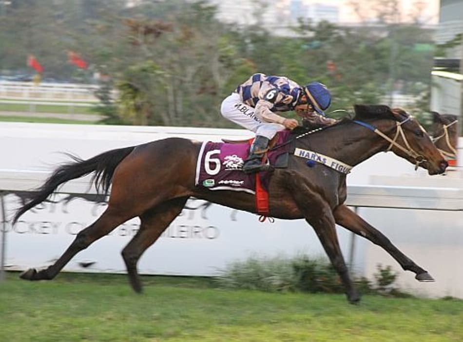 Líder e invicta, Ixquenta vence o GP Roger Guedon – Copa das Nações (G3)