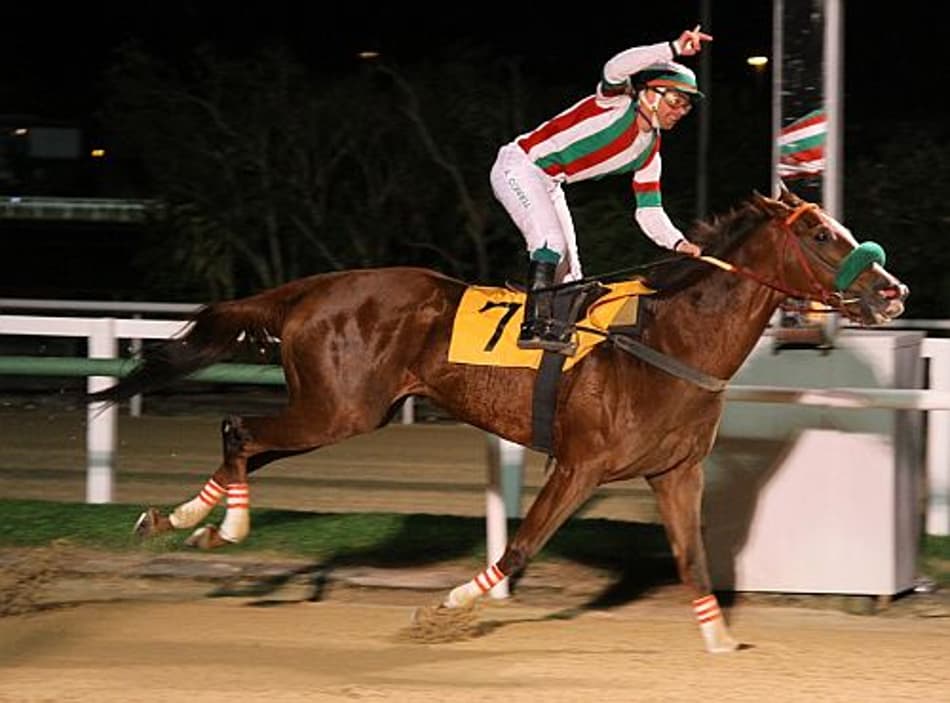 Noturna com 10 páreos na Gávea