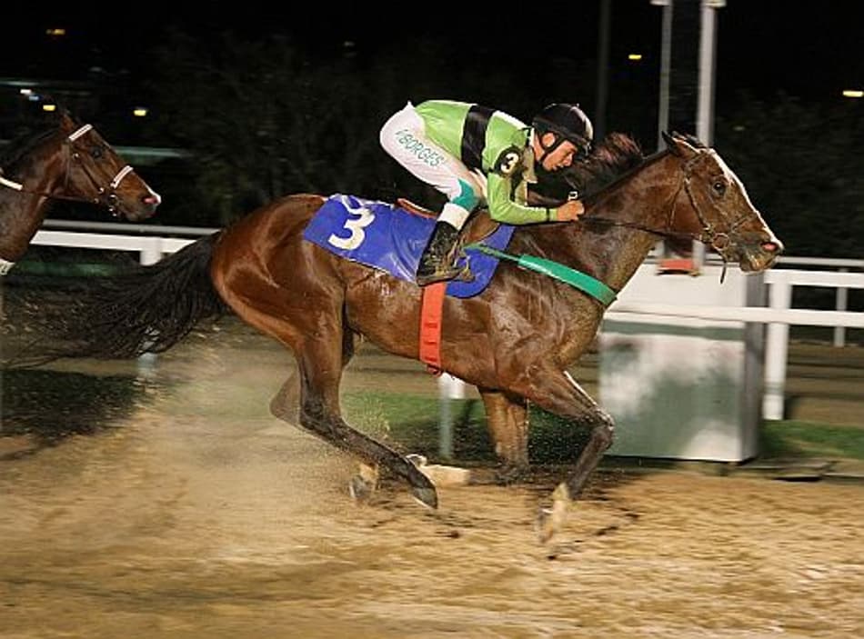 Tinindo, Sulamericano vence a P.E. Pico Central