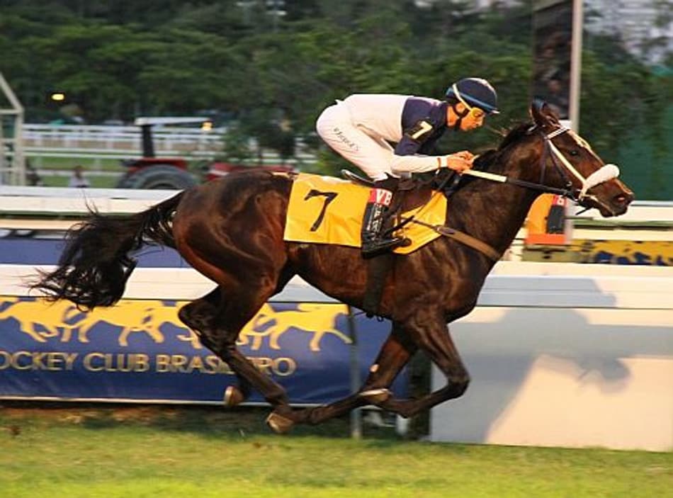 Duas Provas Especiais e mais 37 páreos na Gávea