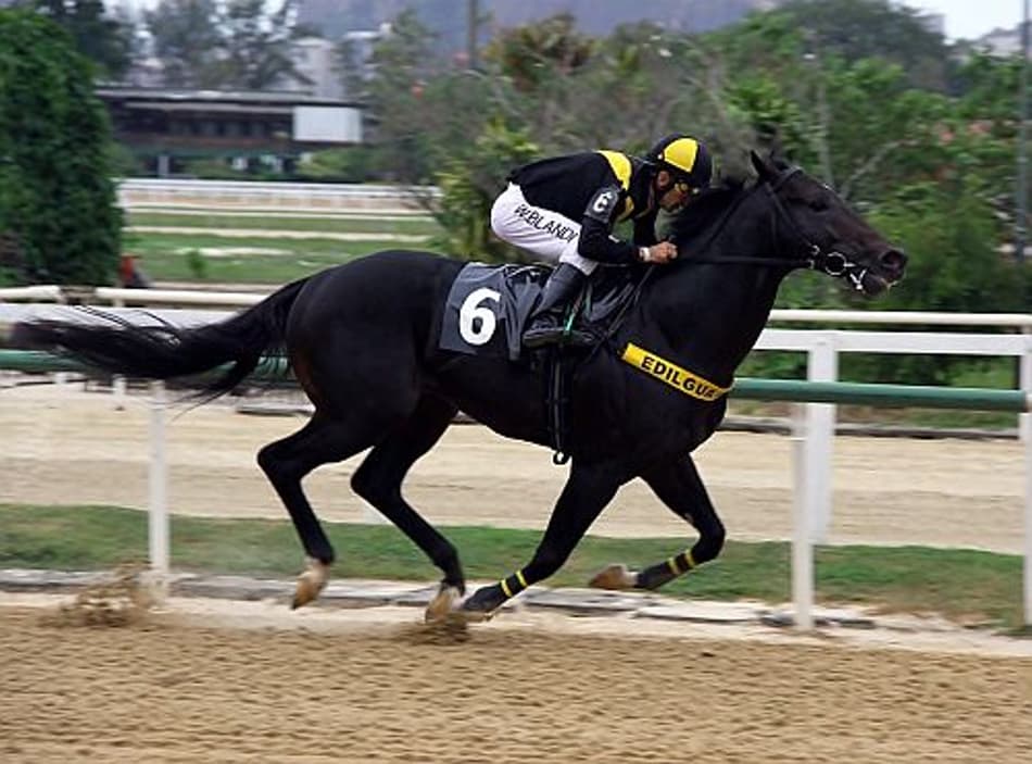 Emoção à solta com nove provas no Hipódromo da Gávea