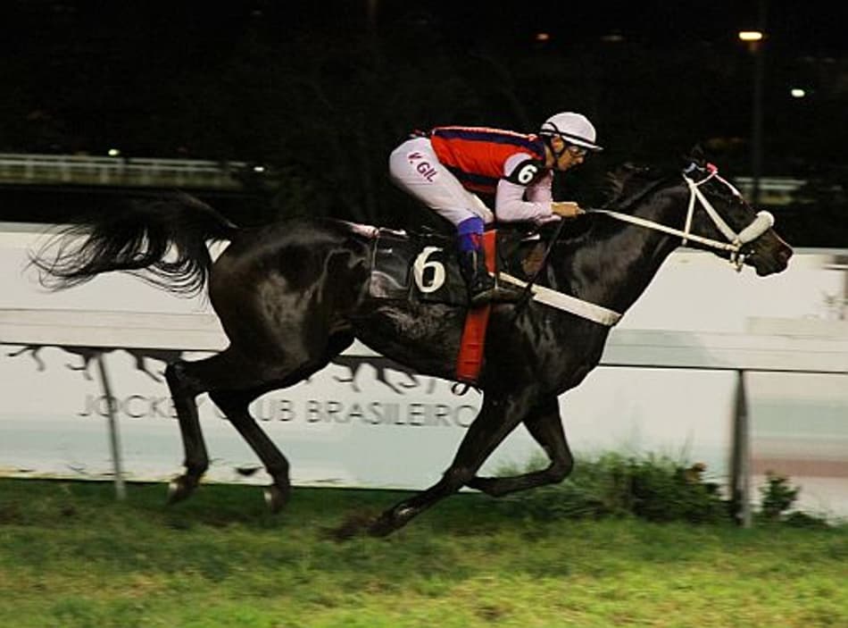Éguas em ação na melhor carreira da Gávea