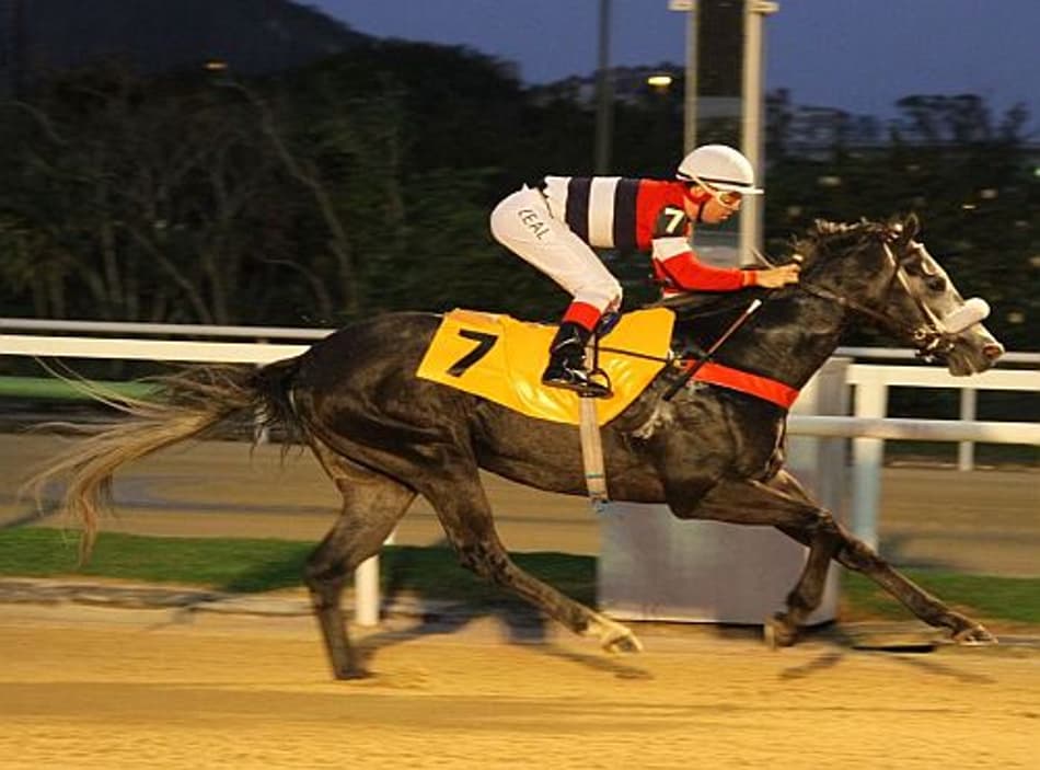 Retorno da Quinexata é atração na Gávea