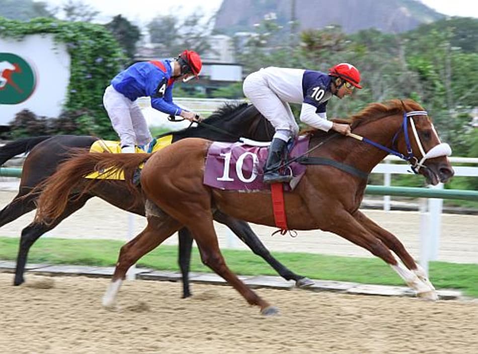 Dez páreos movimentam a Gávea