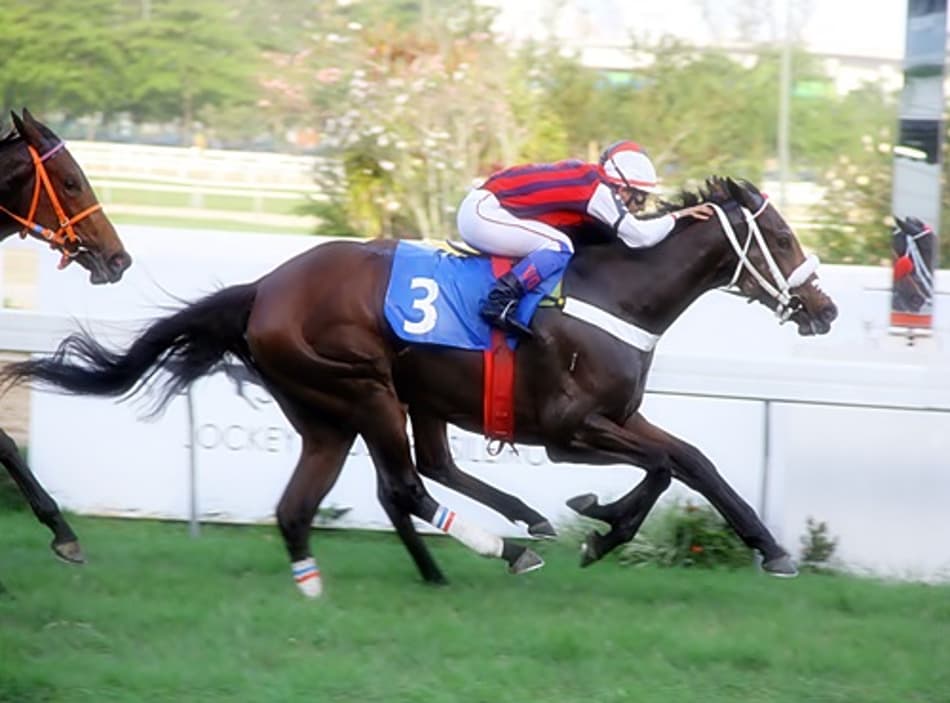 Escaramuza vence G3 e segue invicta