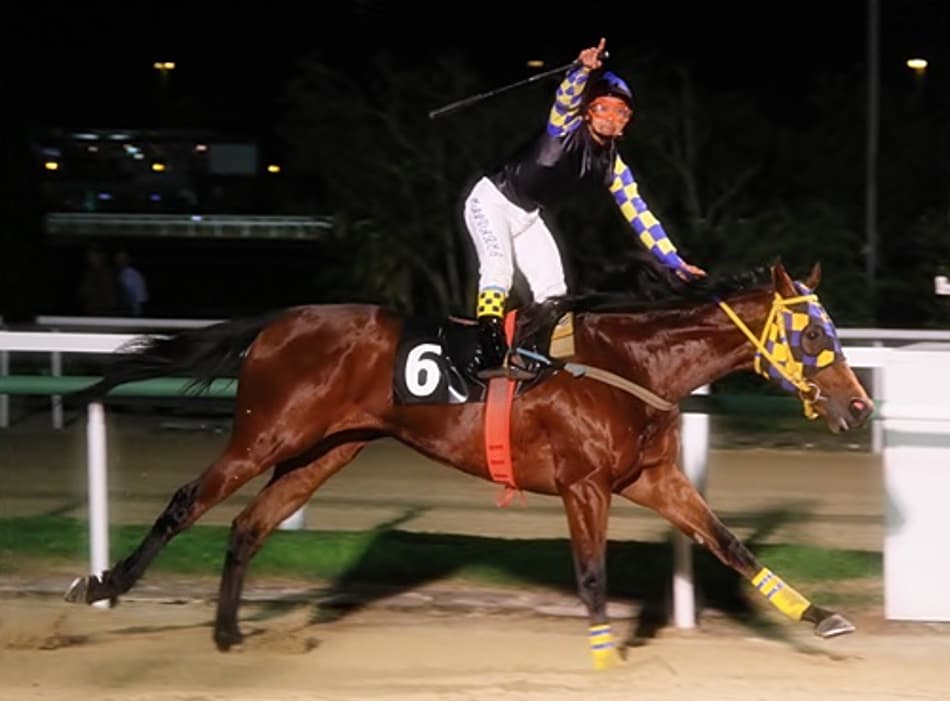 Onze páreos na noturna da Gávea