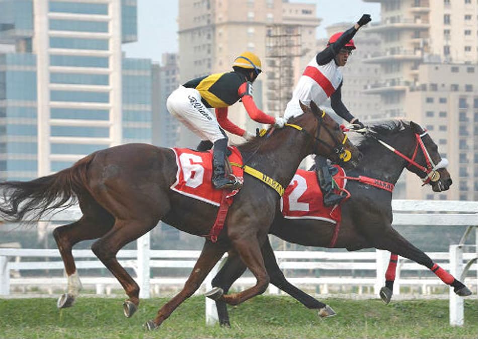 Tríplice Coroa paulista agita o feriado nacional
