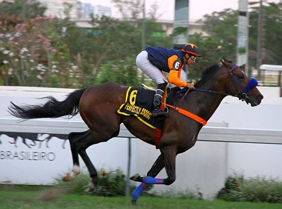 Perfectly Associat, exibição de classe no GP João Borges Filho (G2)