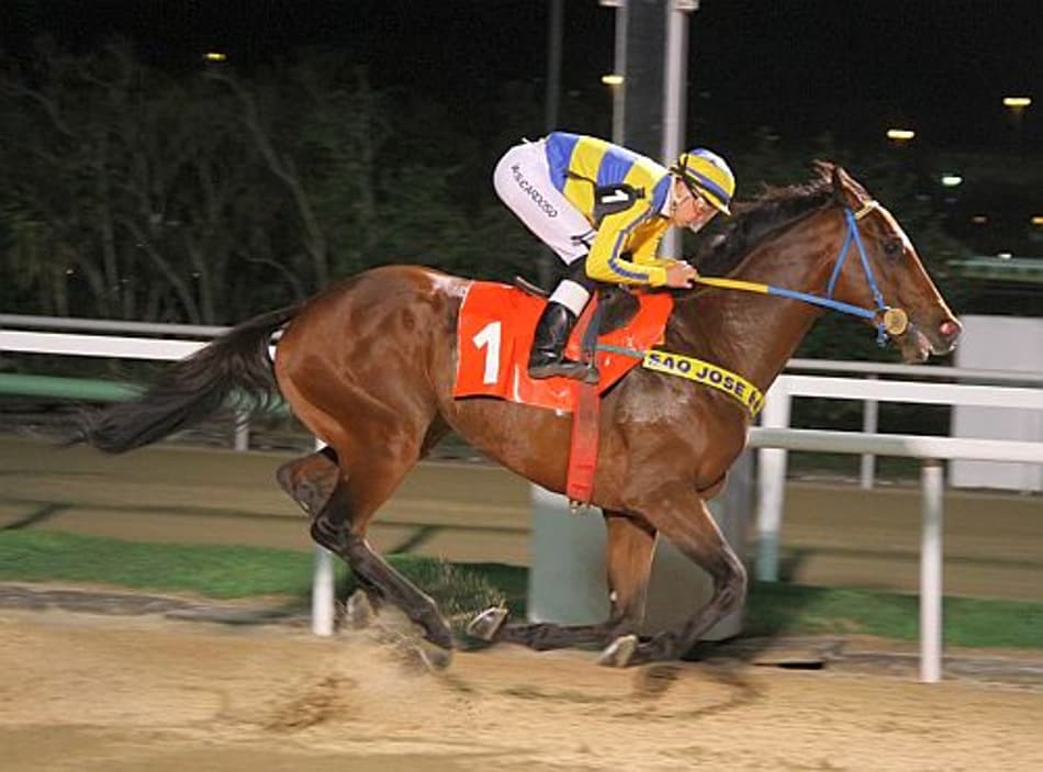 Grupo 3 é atração no Jockey Club Brasileiro