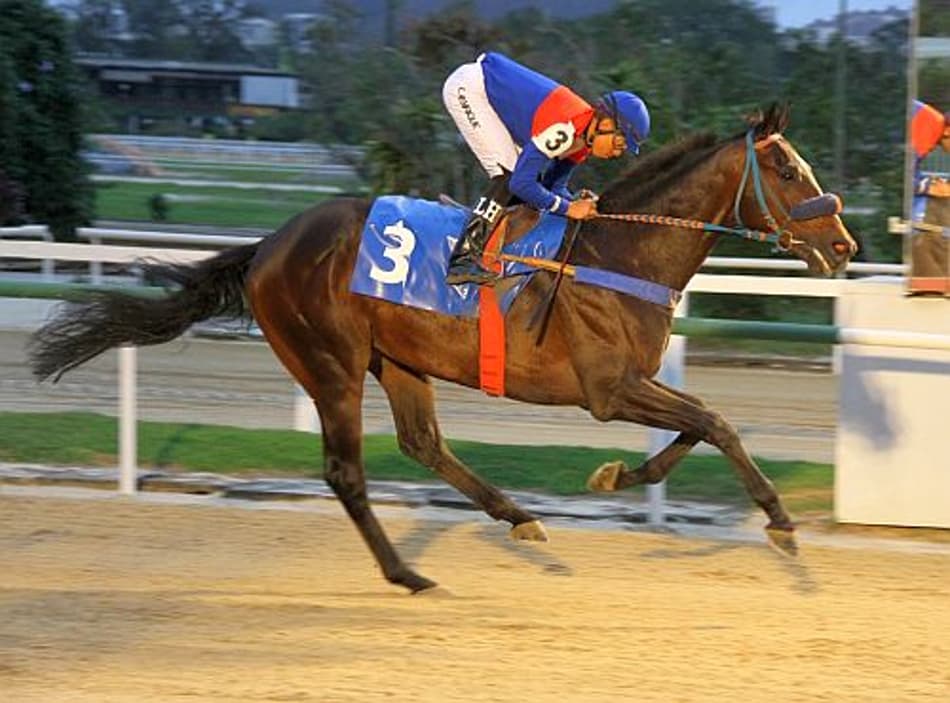 Nove páreos agitam a Gávea