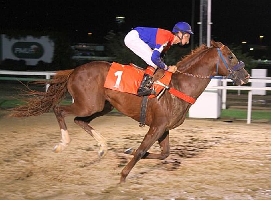 Equilíbrio e emoção em nove provas na Gávea