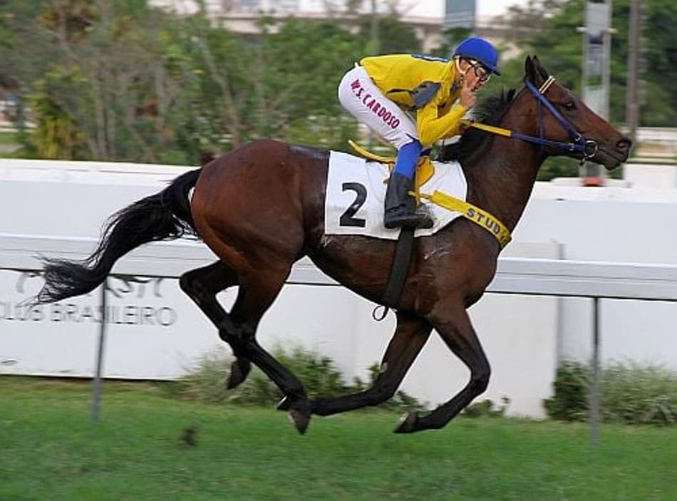 Fundistas em ação na Gávea