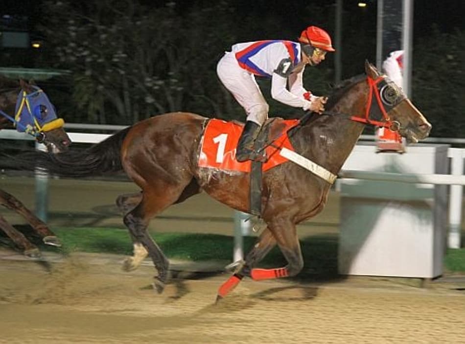 Prova Especial e mais nove páreos na Gávea