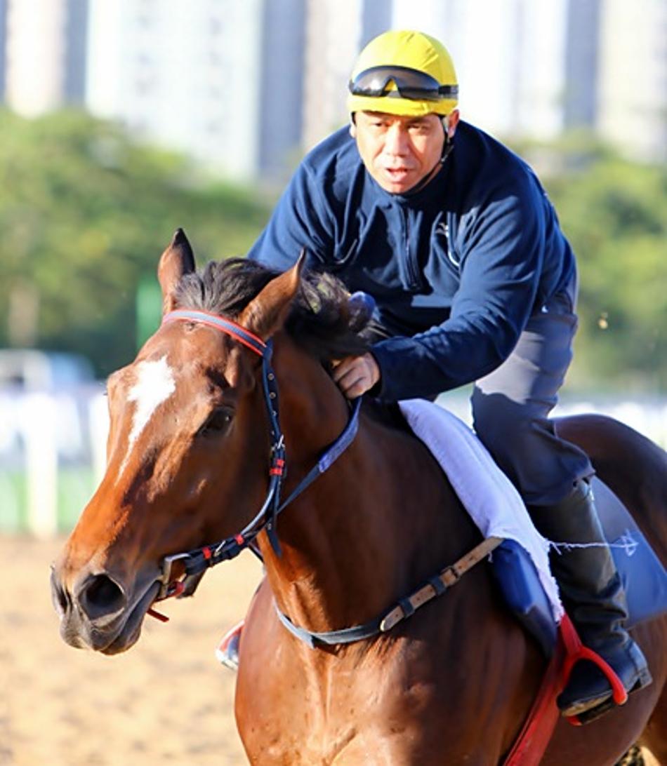 Jóqueis amadores disputam páreo imperdível