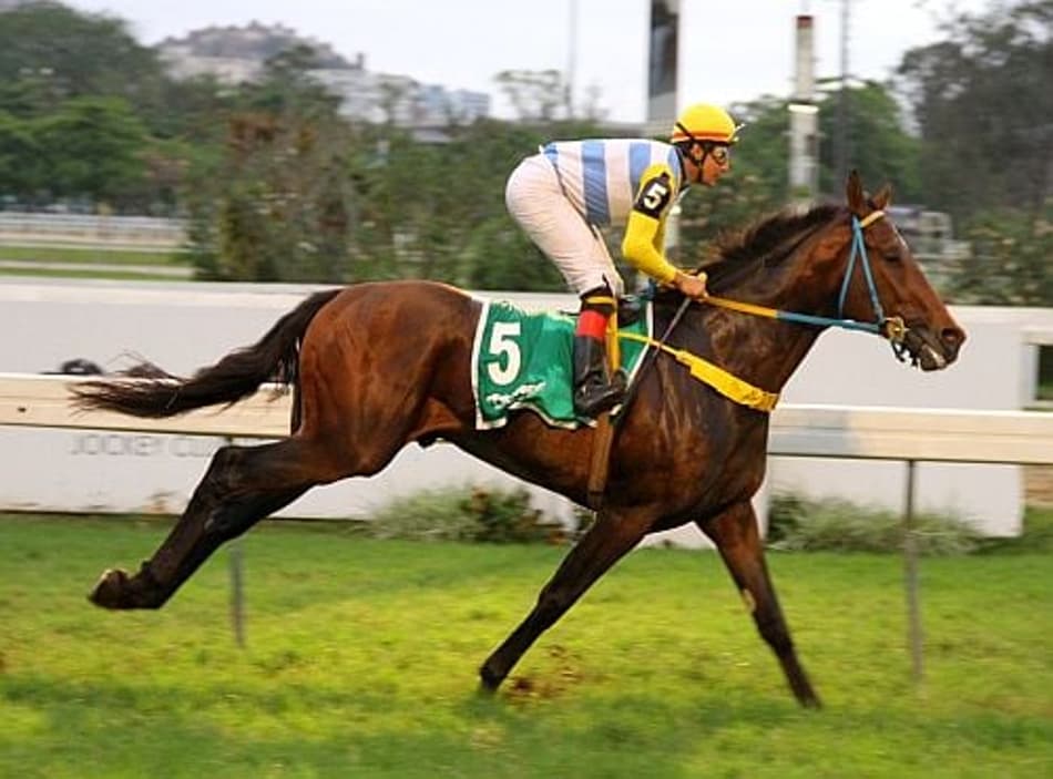 Voador Magee mostra classe em seu batismo nobre