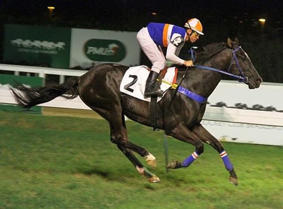 Noturna com dez páreos na Gávea