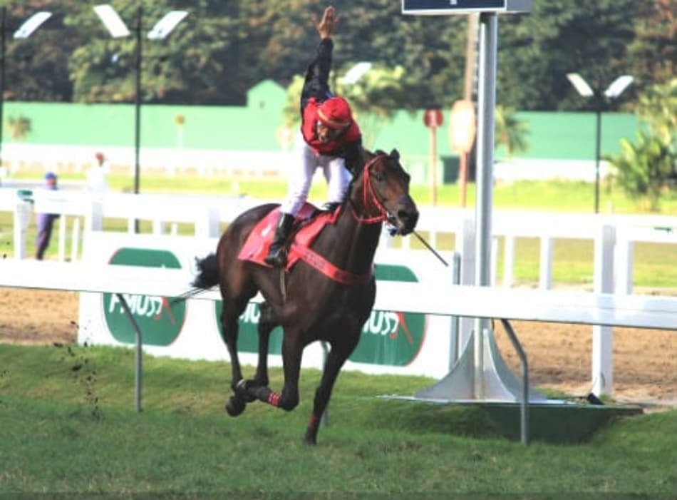 GP em 2.400m é atração da programação carioca