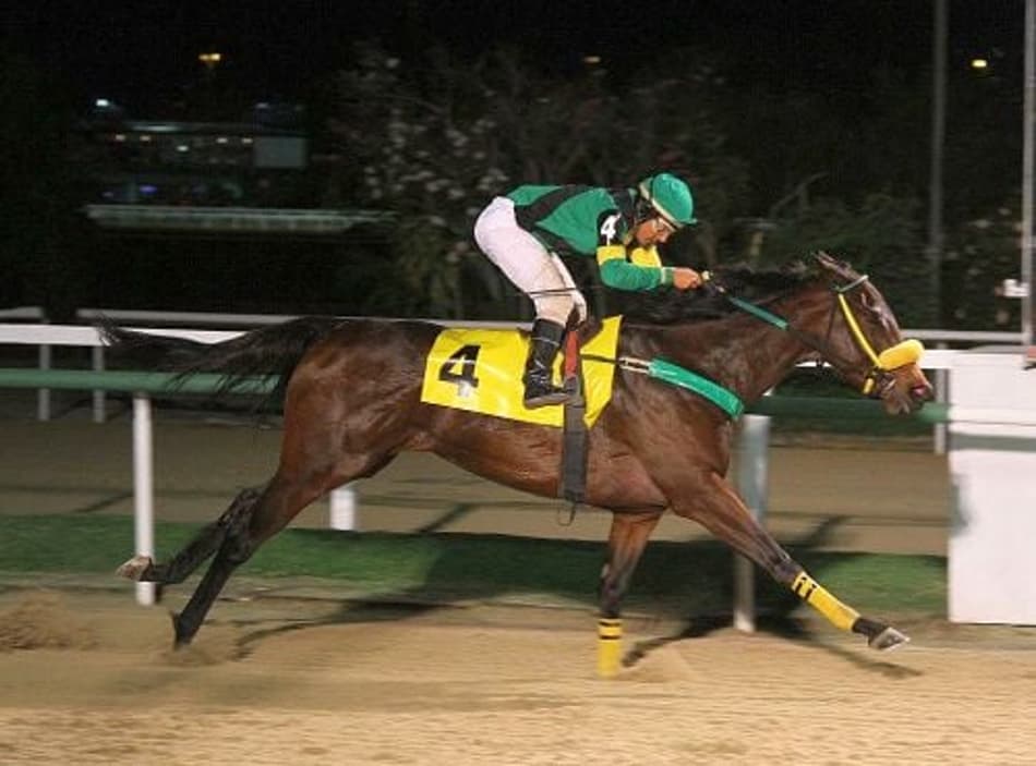 Sexta de emoção com nove páreos na Gávea