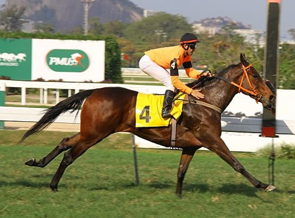 Prova Especial é destaque na Gávea