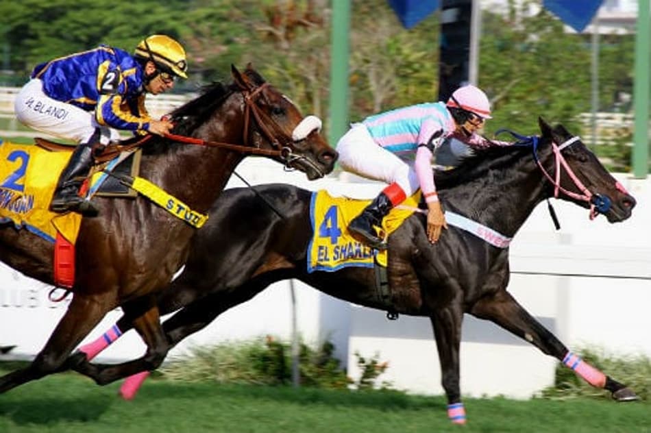 O campeão voltou: Correa levanta Grande Criterium com El Shaklan