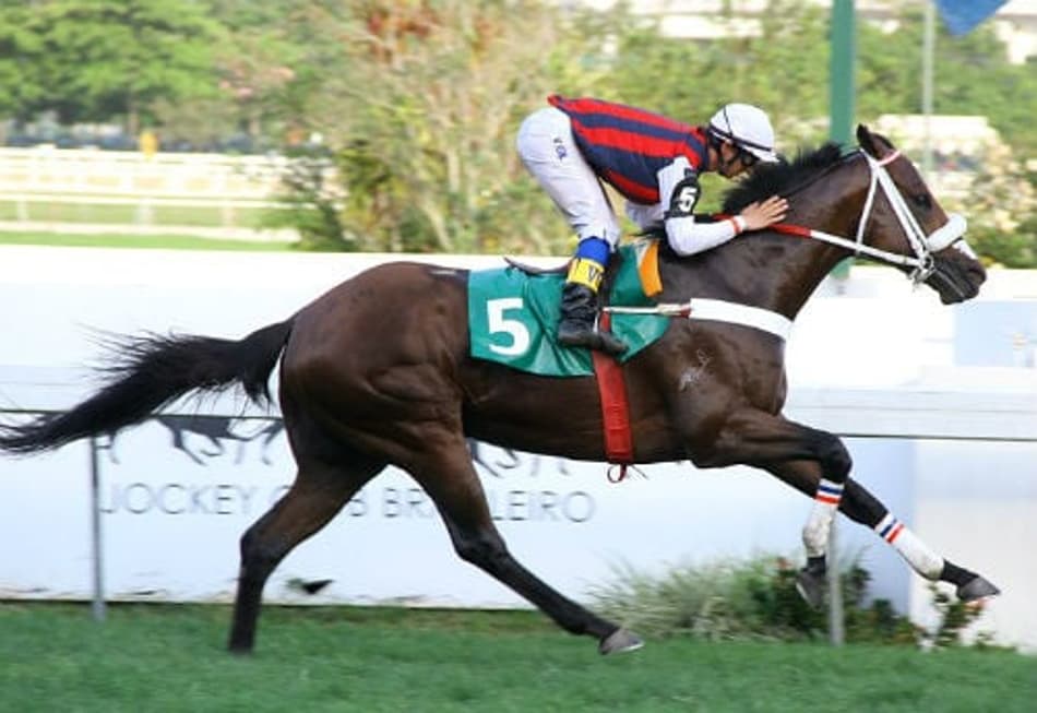 Daniel Boone divide a raia na milha