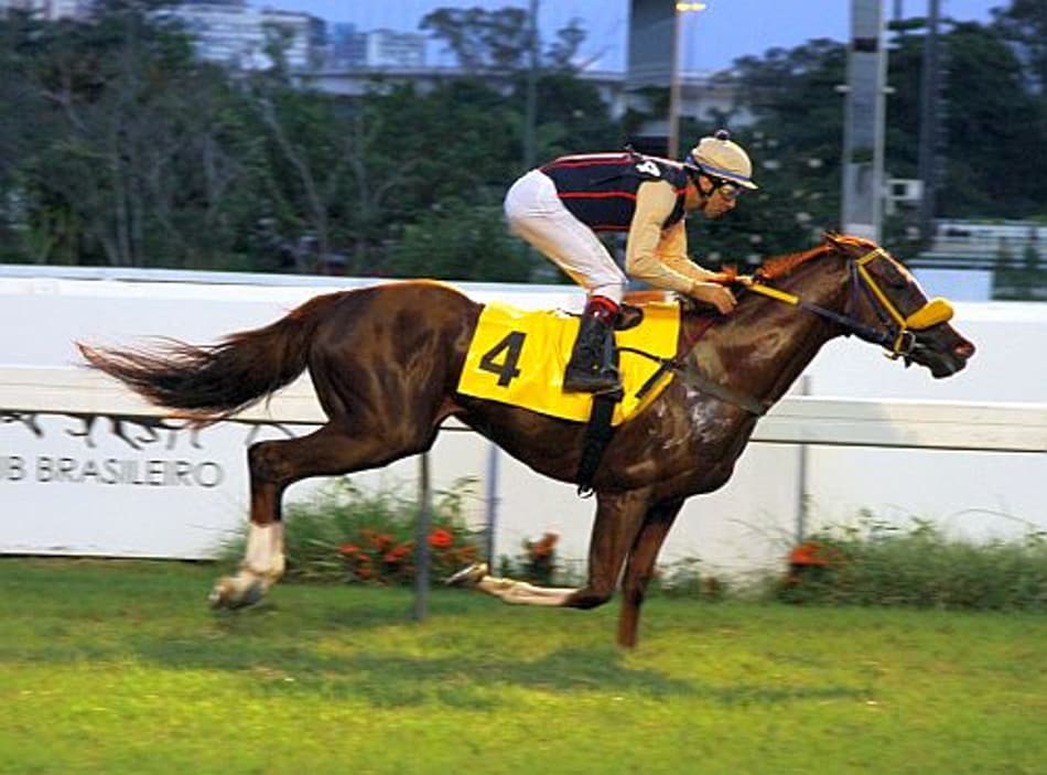 Onze páreos e Quinexata com R$ 227 mil na Gávea