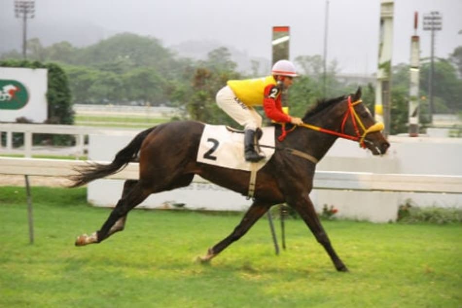 Leão de Prata dá um vareio
