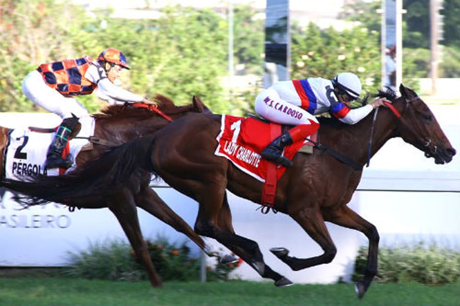 Lady Charlotte bate Pérgola no GP Oswaldo Aranha