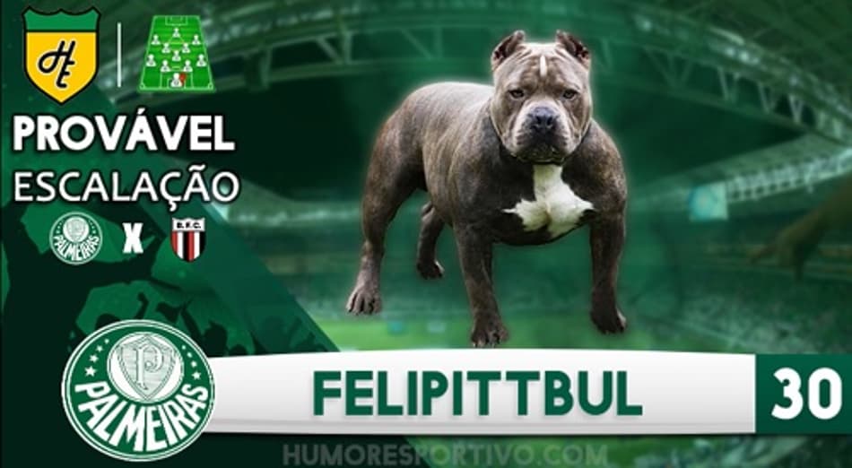 Escalação Mil Grau – Palmeiras x Botafogo-SP