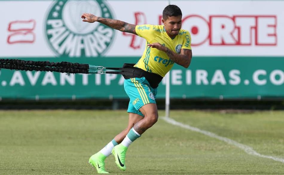 Dudu - Palmeiras