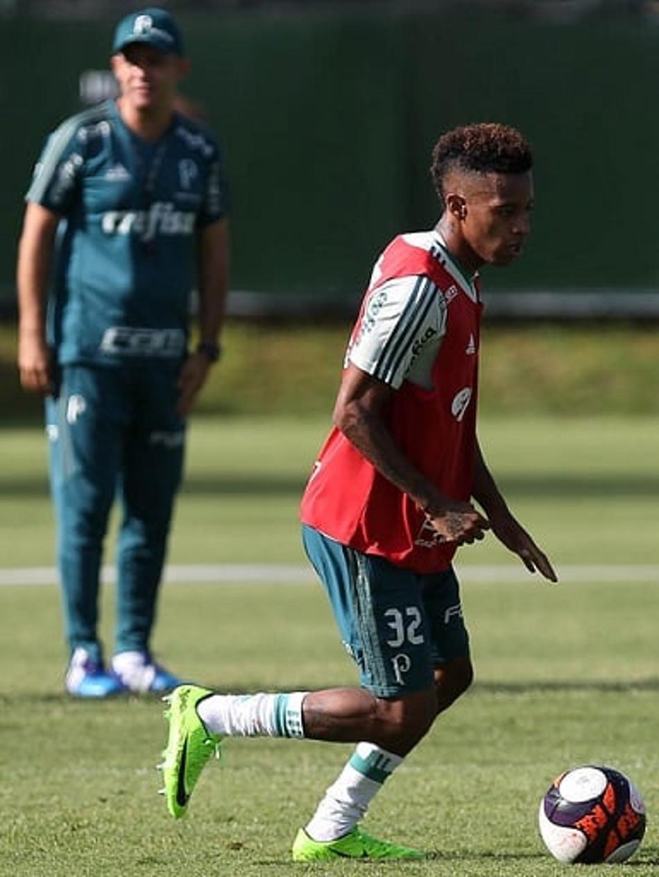 Tchê Tchê - Palmeiras