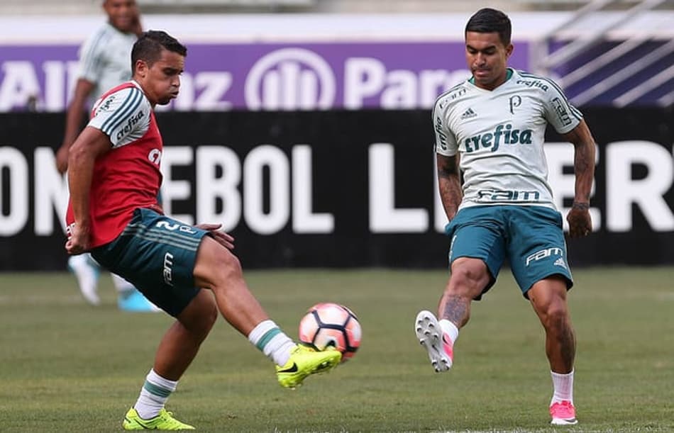 Treino do Palmeiras no Allianz Parque