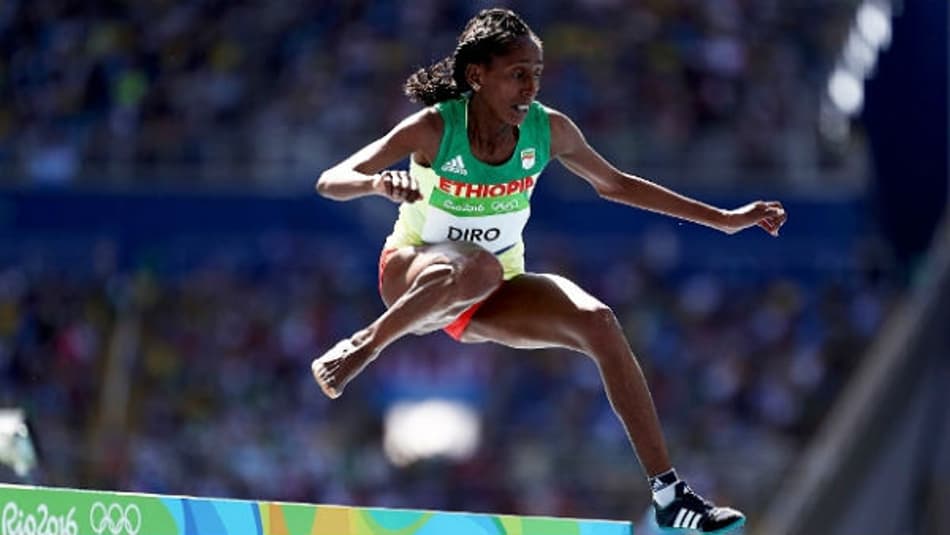 Laguna Olímpico: A Cinderela da Rio-2016